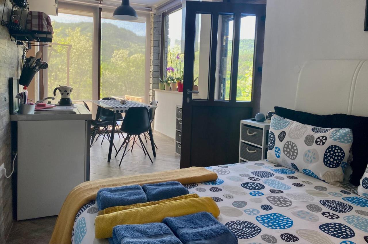 Apartman Verona Buzet Esterno foto