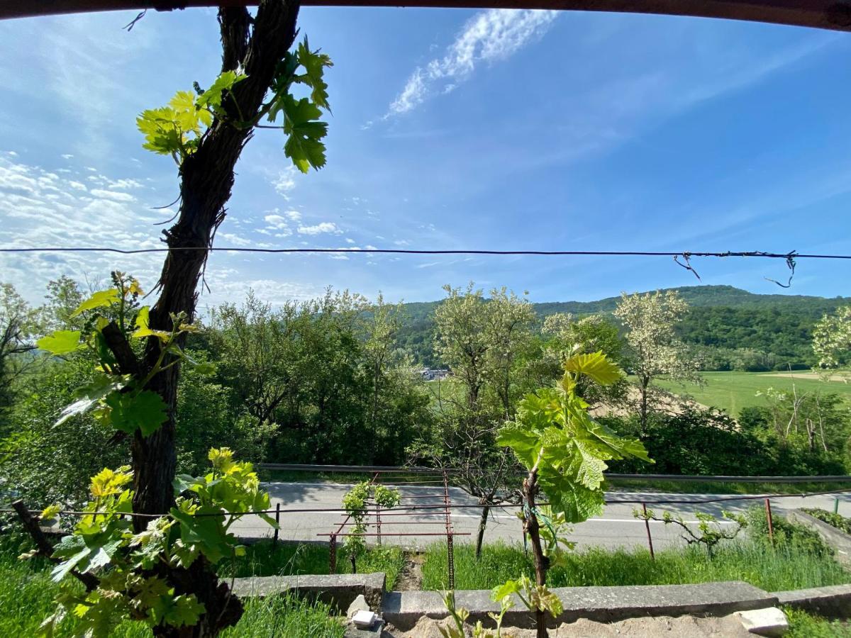 Apartman Verona Buzet Esterno foto