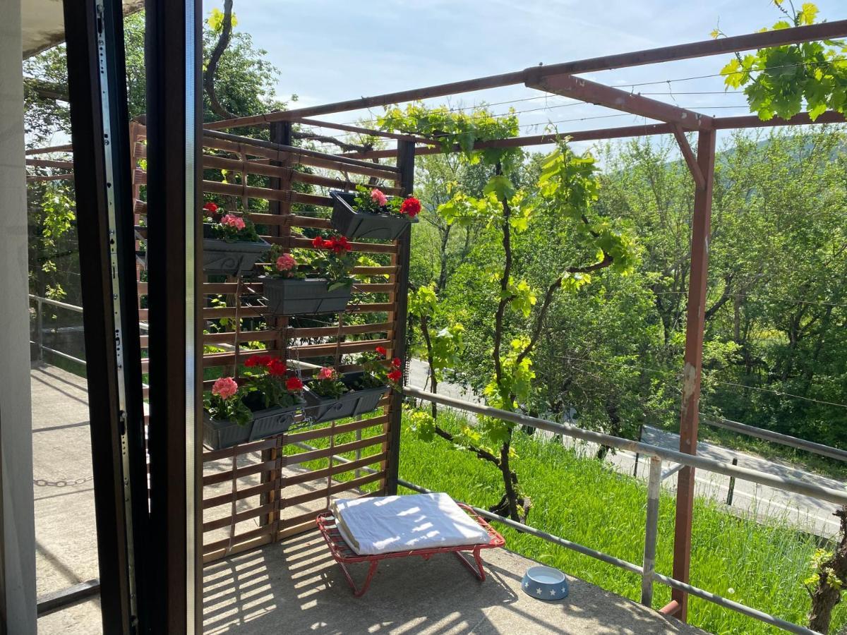 Apartman Verona Buzet Esterno foto
