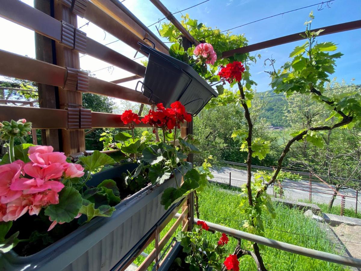 Apartman Verona Buzet Esterno foto